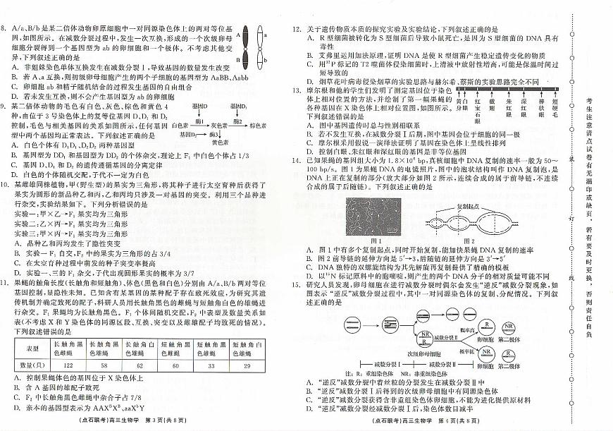 （生物试卷）辽宁省点石联考2024-2025学年度上学期高三年级10月阶段考试 生物试卷第2页
