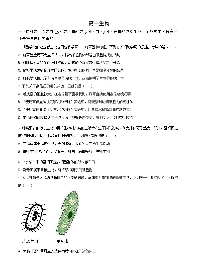 吉林省通化市梅河口市第五中学2025-2026学年高一上学期10月月考生物试卷第1页