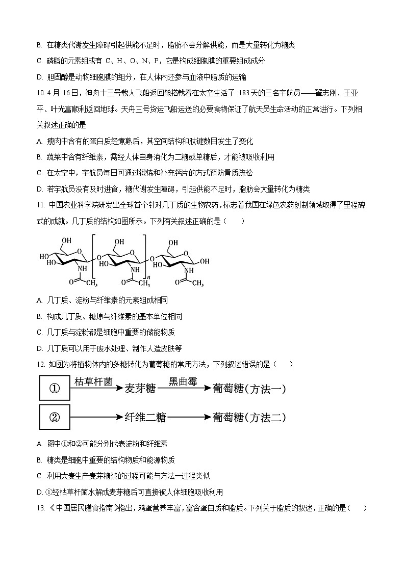 吉林省通化市梅河口市第五中学2025-2026学年高一上学期10月月考生物试卷第3页