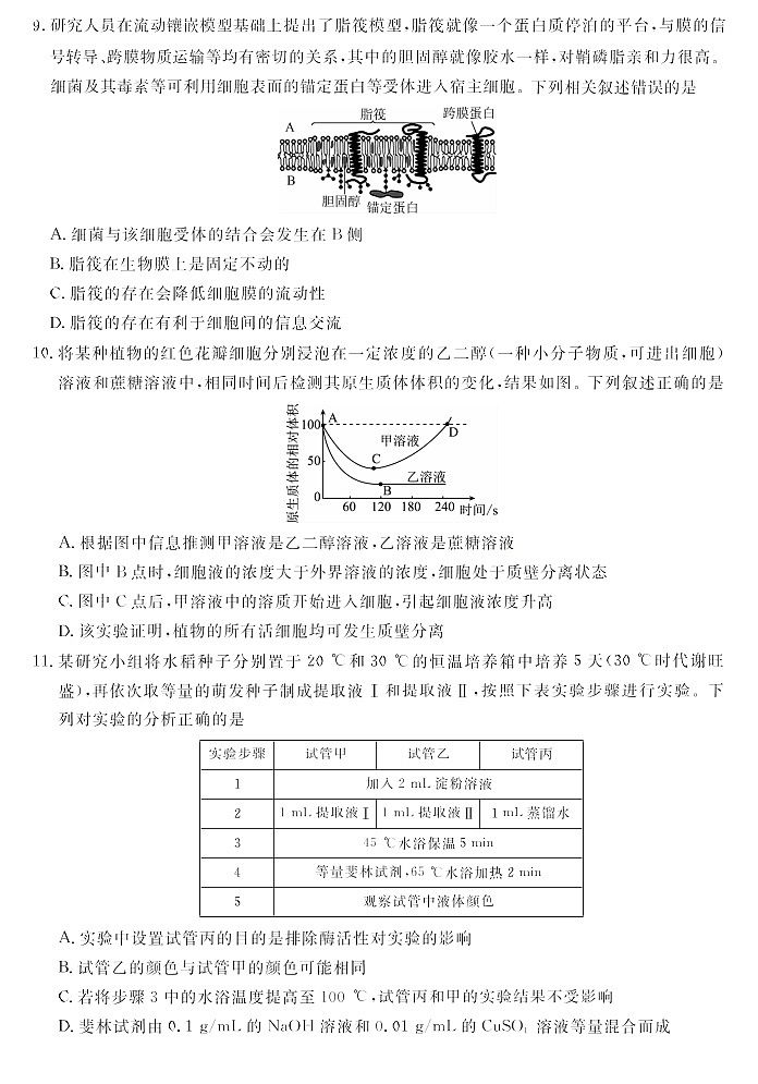 2026届高三上学期华师联盟联考10月月考生物试卷第3页