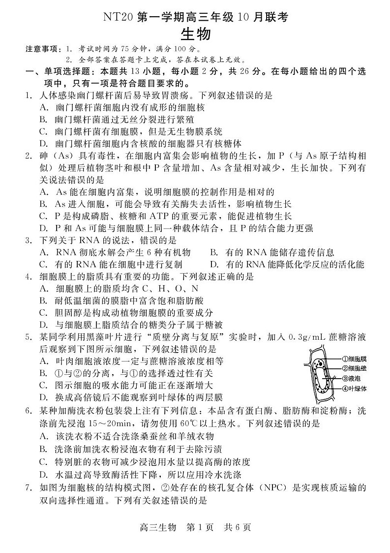 河北省NT20联考 2025-2026学年高三上学期10月月考生物试卷第1页