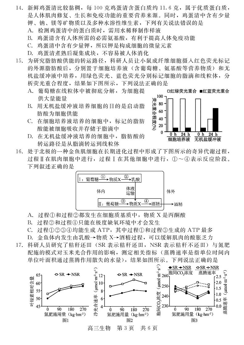 河北省NT20联考 2025-2026学年高三上学期10月月考生物试卷第3页