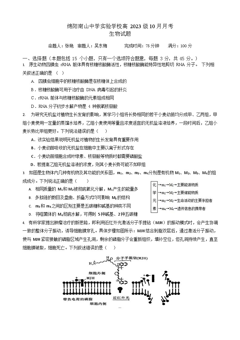 绵阳南山中学实验学校2026届高三上学期10月月考生物试卷第1页