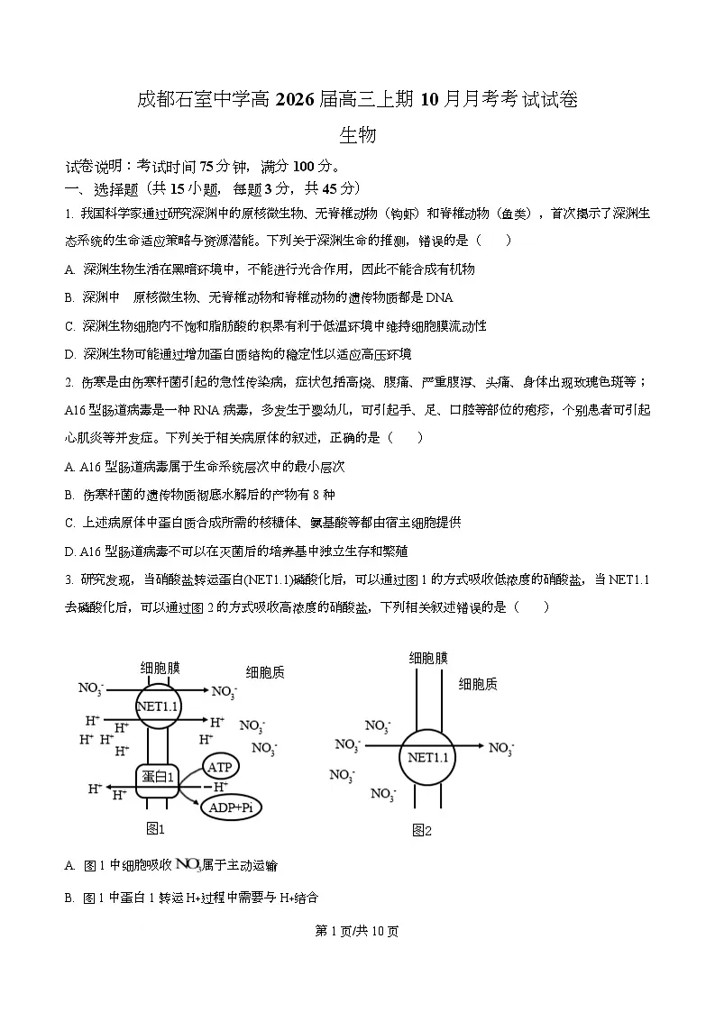 四川省成都石室中学2025-2026学年高三上学期10月月考生物试题 Word版无答案第1页