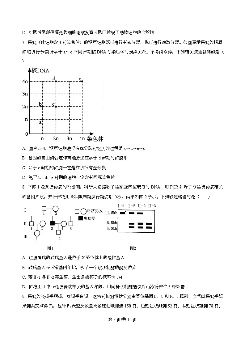 四川省成都石室中学2025-2026学年高三上学期10月月考生物试题 Word版无答案第3页