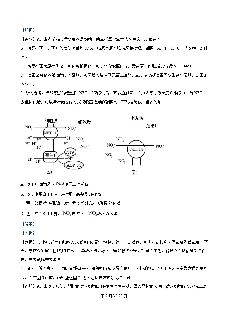 四川省成都石室中学2025-2026学年高三上学期10月月考生物试题 Word版含解析第2页