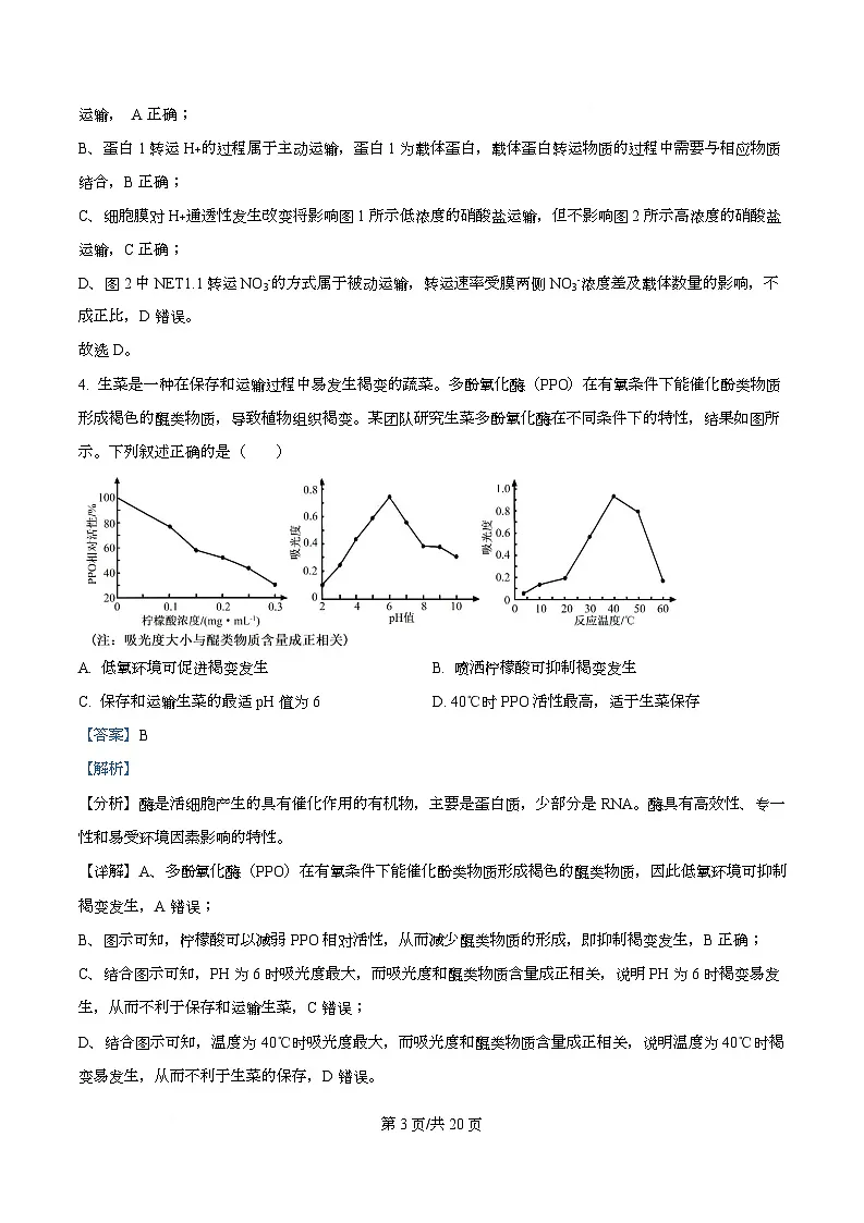 四川省成都石室中学2025-2026学年高三上学期10月月考生物试题 Word版含解析第3页