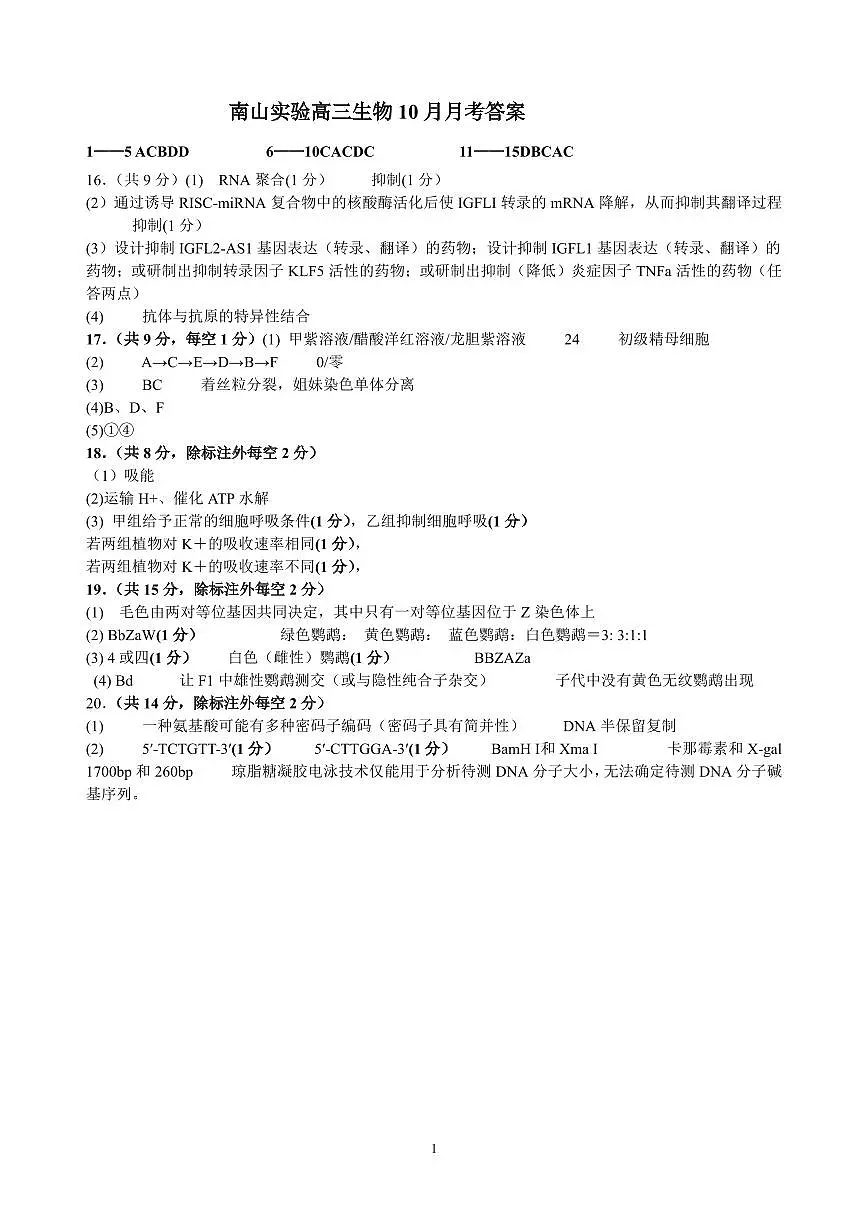 绵阳南山中学实验学校高2023级高三（上）10月月考+生物答案第1页