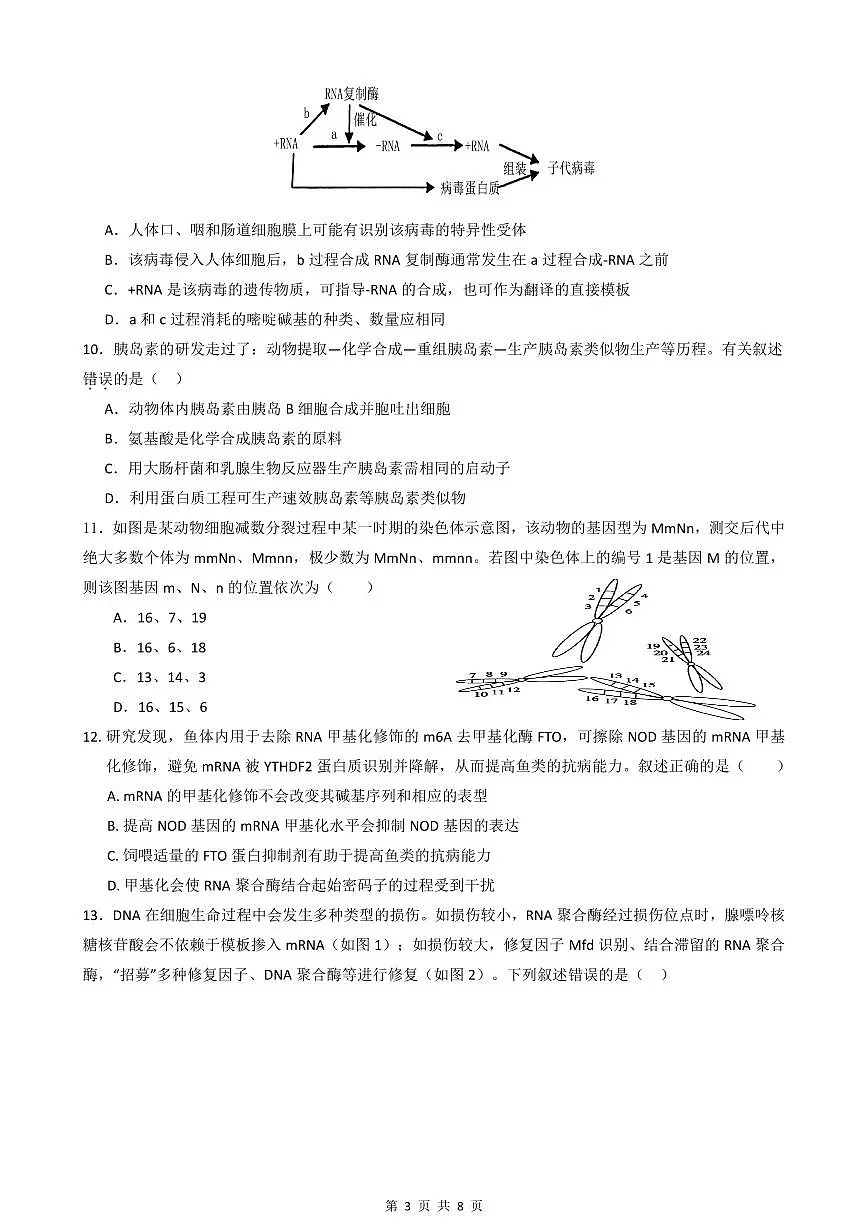 绵阳南山中学实验学校高2023级高三（上）10月月考+生物第3页