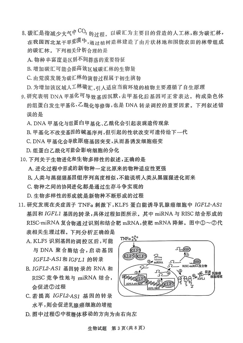 广东省2025届湛江市高三下学期第一次模拟考试-生物试题（含答案）第3页
