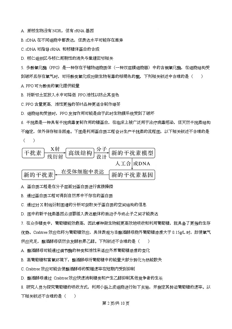重庆市沙坪坝区重庆市南开中学校2025-2026学年高三上学期10月月考生物试题  Word版无答案第2页