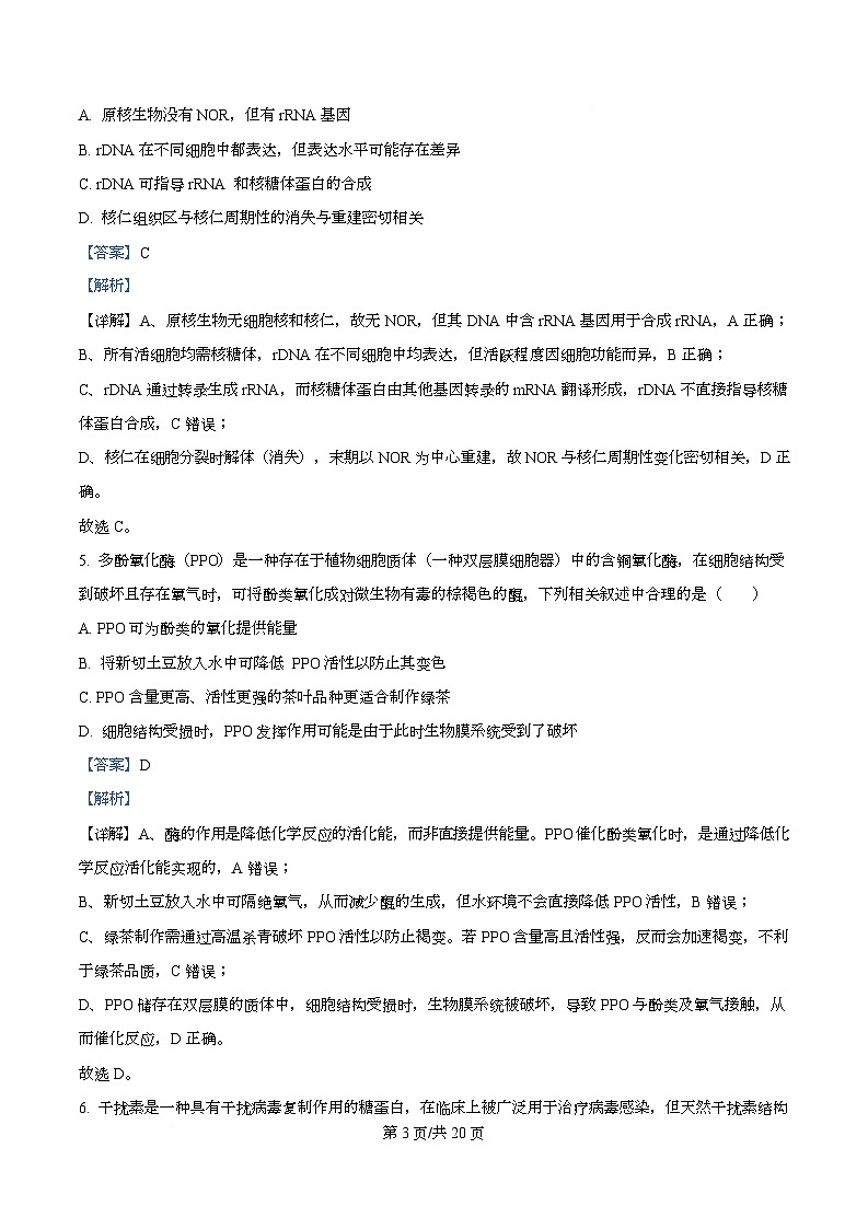 重庆市沙坪坝区重庆市南开中学校2025-2026学年高三上学期10月月考生物试题  Word版含解析第3页
