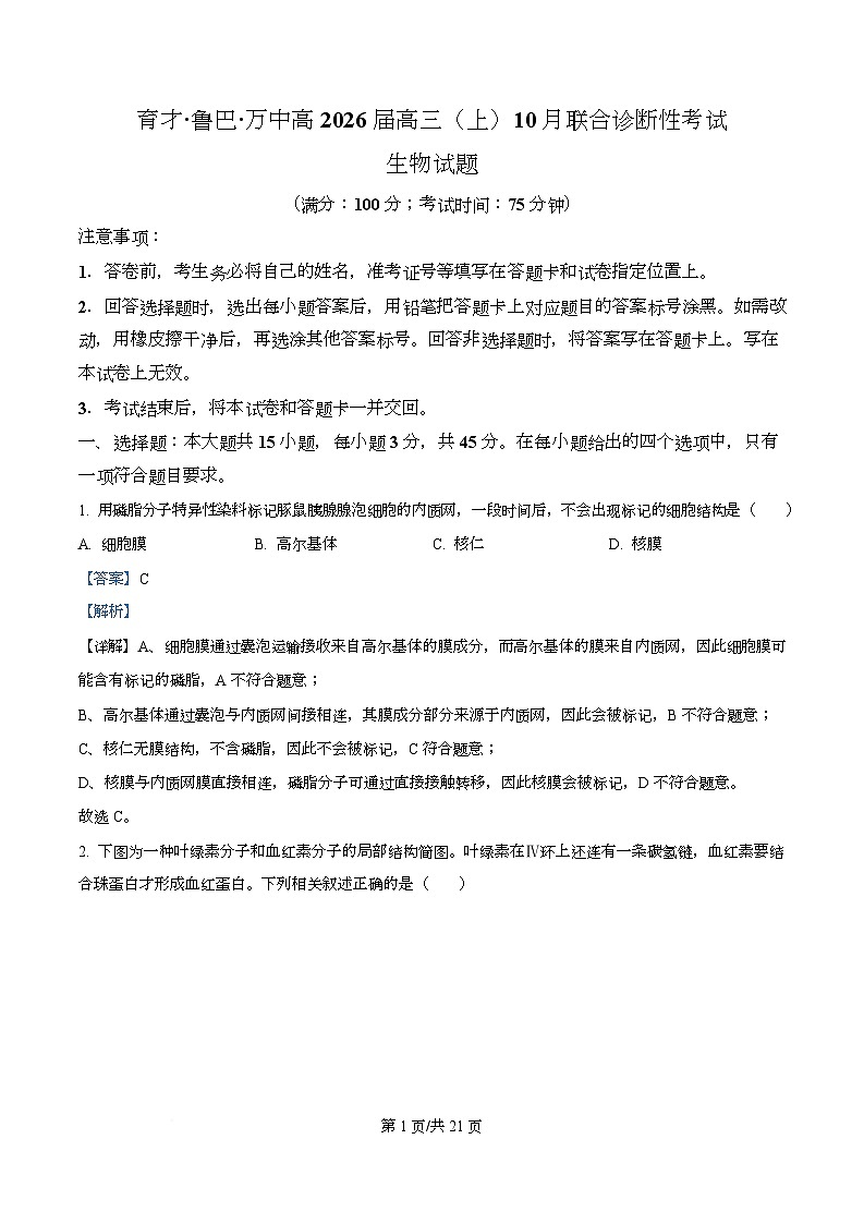重庆市育才中学等三校2025-2026学年高三上学期10月诊断性考试生物试题  Word版含解析第1页