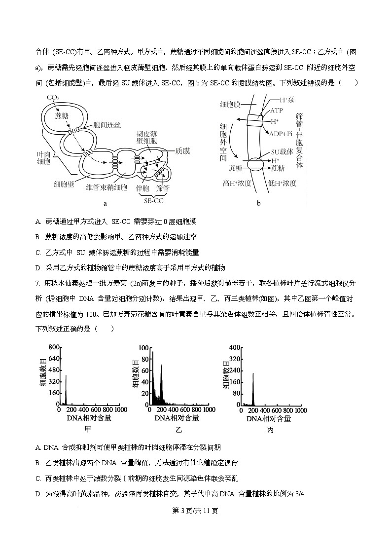 重庆市巴蜀中学2025-2026学年高三上学期9月适应性月考2生物试卷  Word版无答案第3页