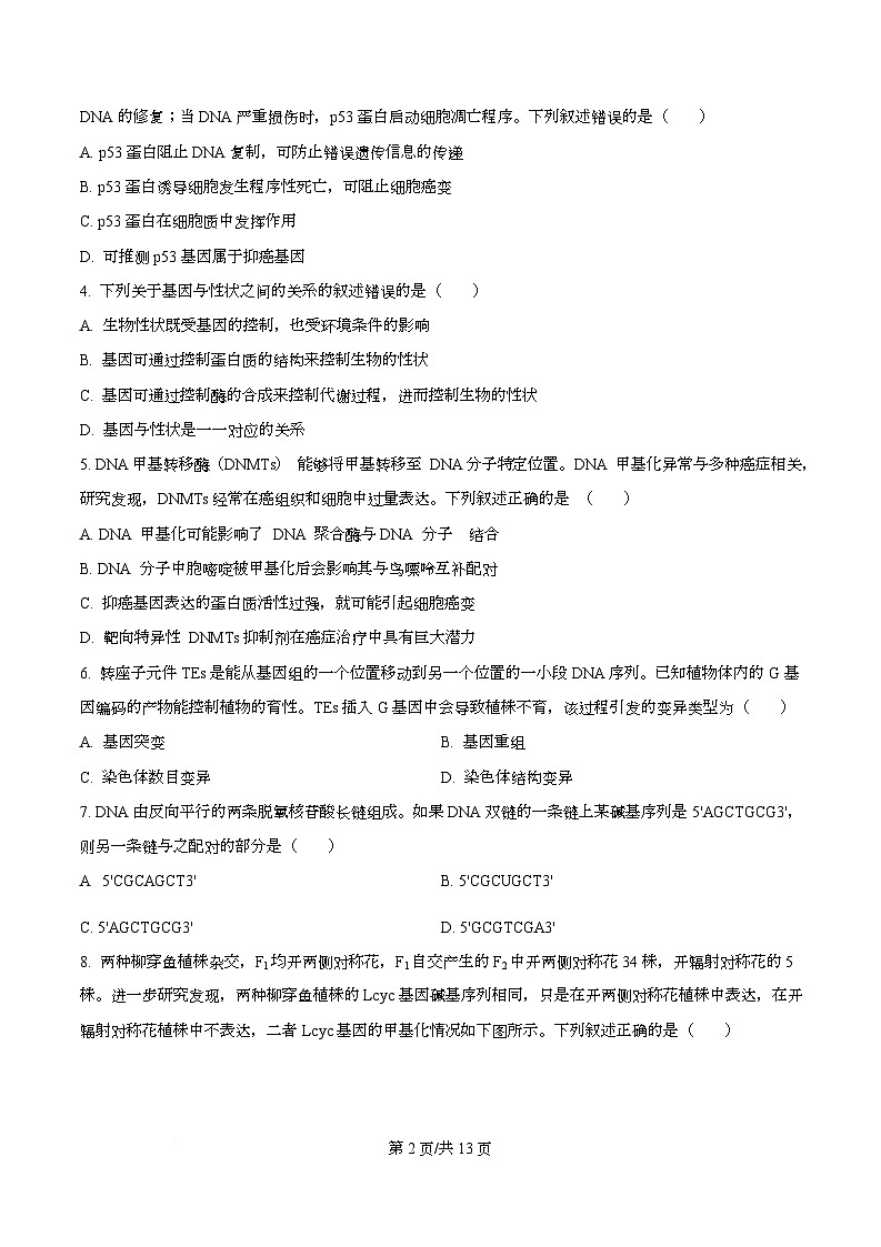 重庆市江北区重庆市第十八中学2025-2026学年高二上学期10月月考生物试题  Word版无答案第2页