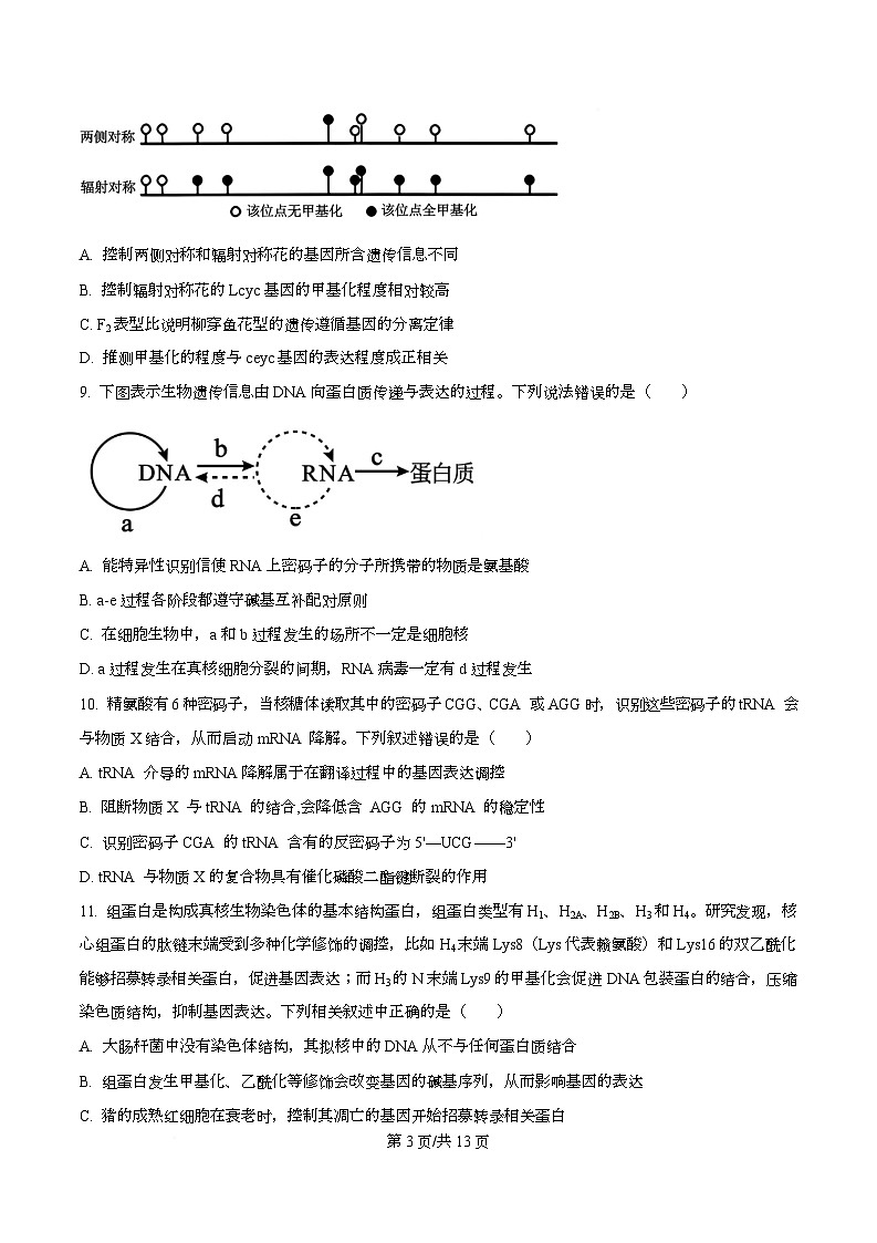 重庆市江北区重庆市第十八中学2025-2026学年高二上学期10月月考生物试题  Word版无答案第3页