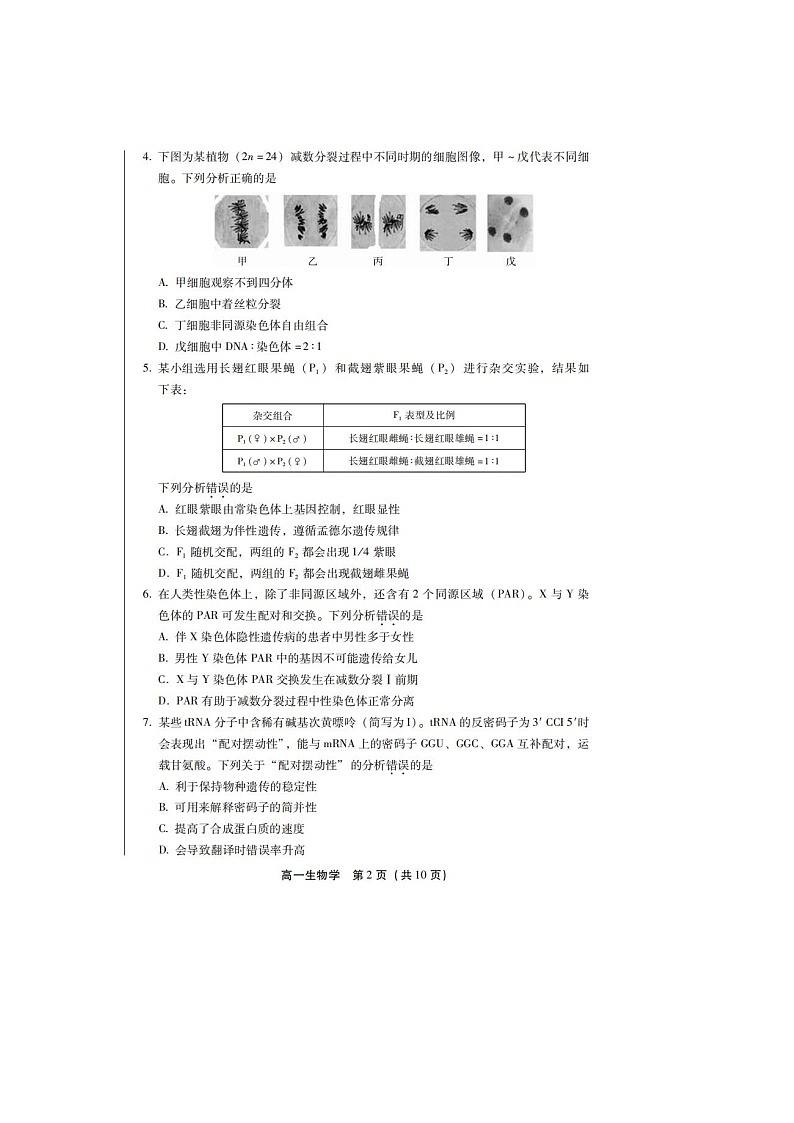2023-2024学年北京丰台区高一下学期期末生物试题及答案第2页