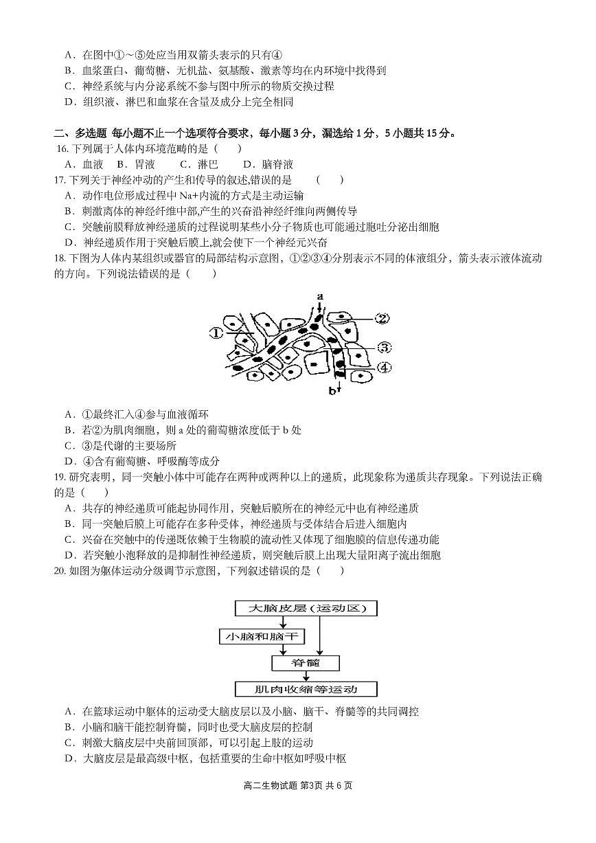 江苏省盐城市四校联考2025-2026学年高二上学期10月月考生物试题（无答案）第3页