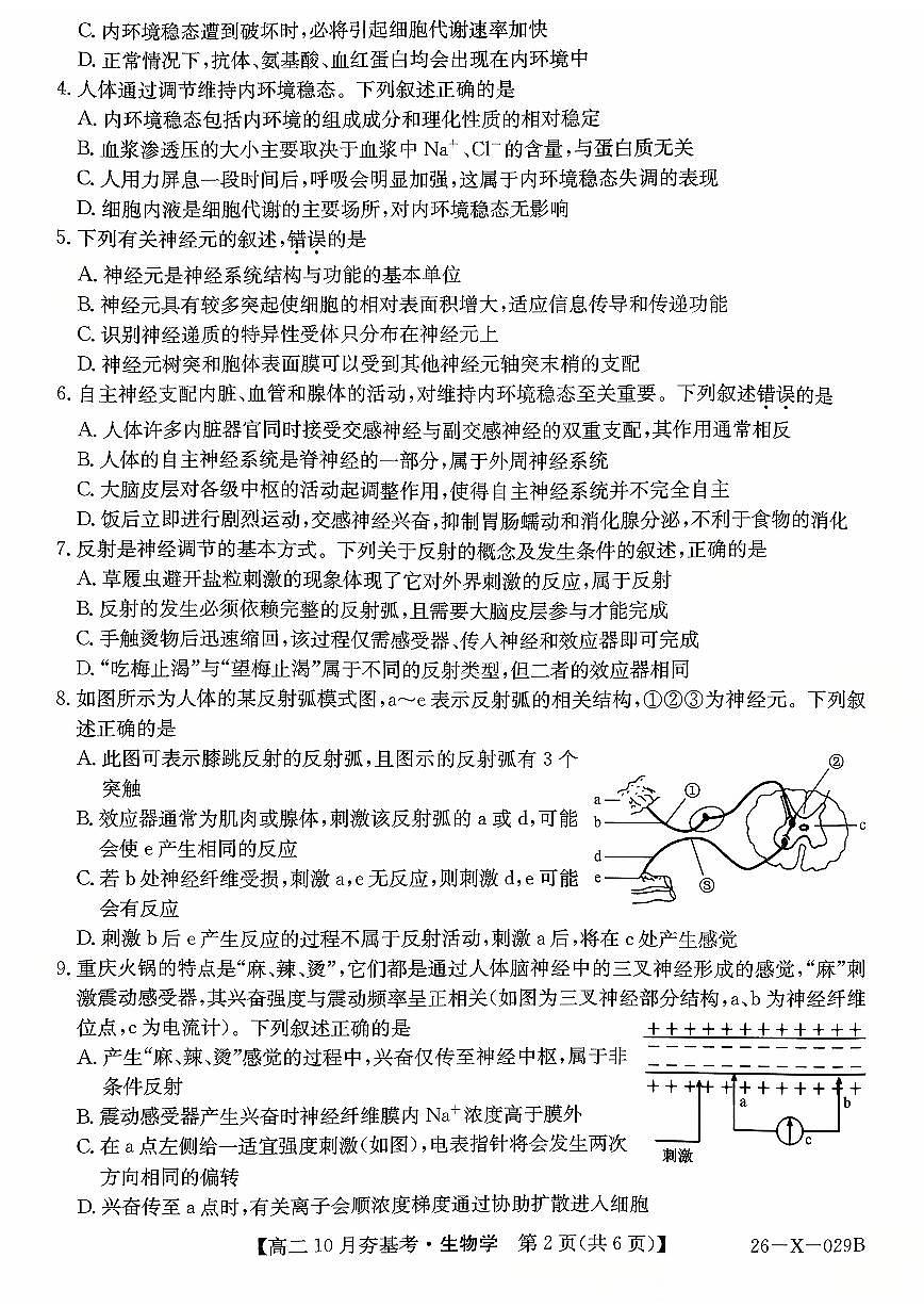 山西省高文品T8联盟联考2025-2026学年高二上学期10月月考生物试题（无答案）第2页