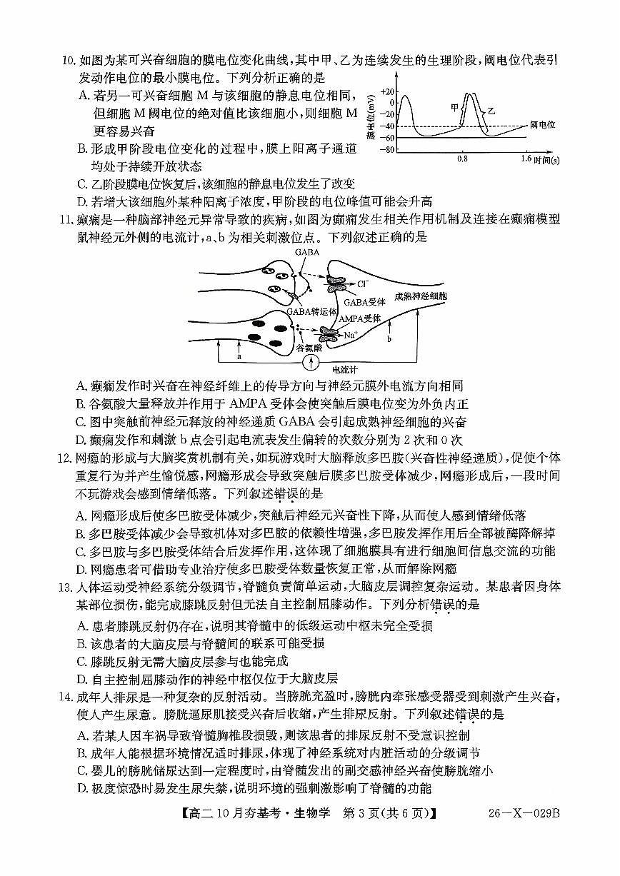 山西省高文品T8联盟联考2025-2026学年高二上学期10月月考生物试题（无答案）第3页