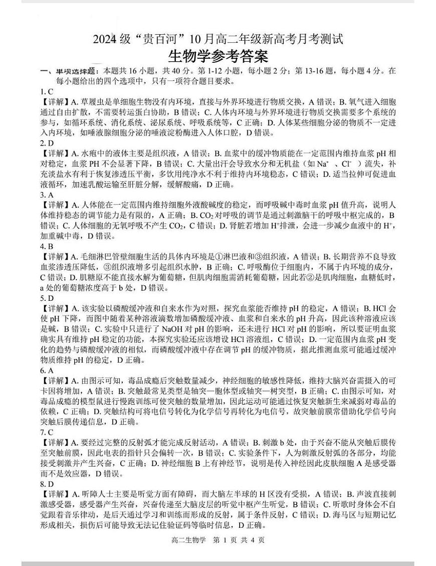 （生物答案）2024级贵百河10月高二年级新高考月考试卷第1页