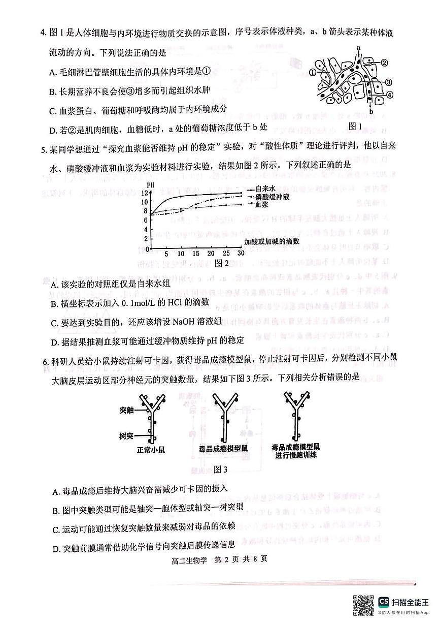 广西壮族自治区百色市贵百河联考2025-2026学年高二上学期10月月考生物试题第2页