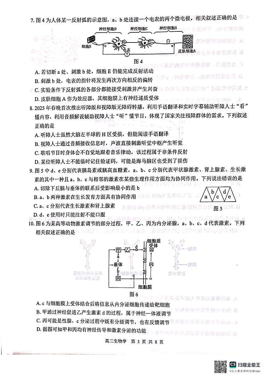 广西壮族自治区百色市贵百河联考2025-2026学年高二上学期10月月考生物试题第3页