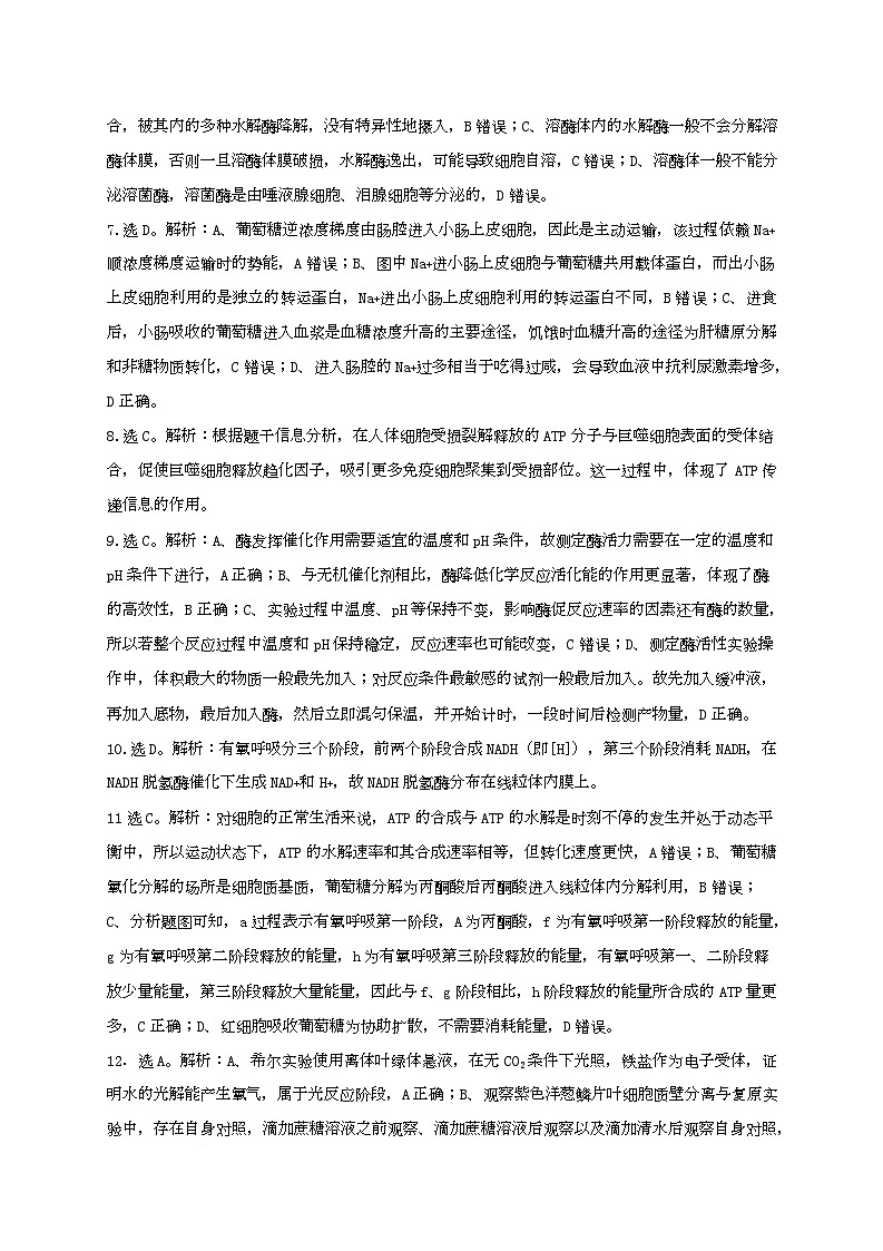 陆河外国语学校2025-2026学年第一学期高三9月份生物考试试卷解析第2页