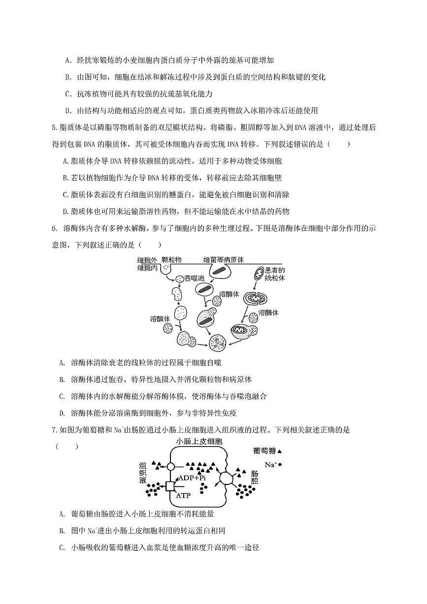 陆河外国语学校2025-2026学年第一学期高三9月份生物考试试卷第2页