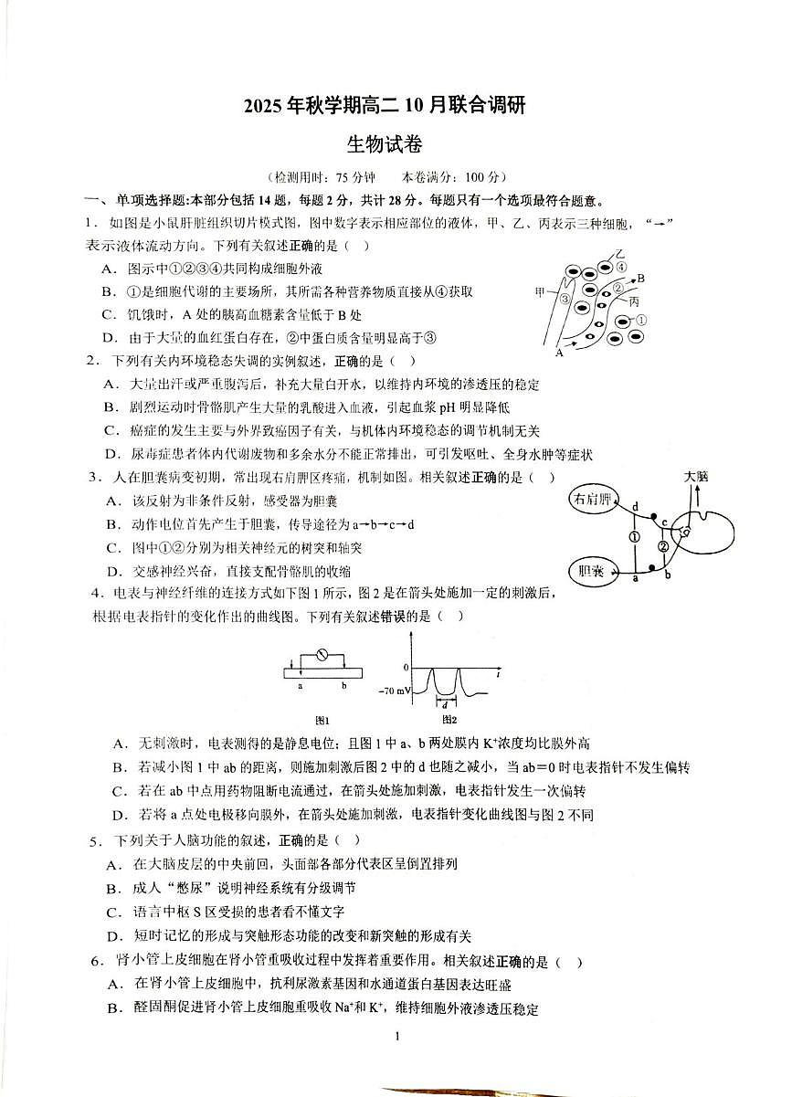 江苏省常州市金坛区常州市金坛区第一中学2025-2026学年高二上学期10月月考生物试题第1页