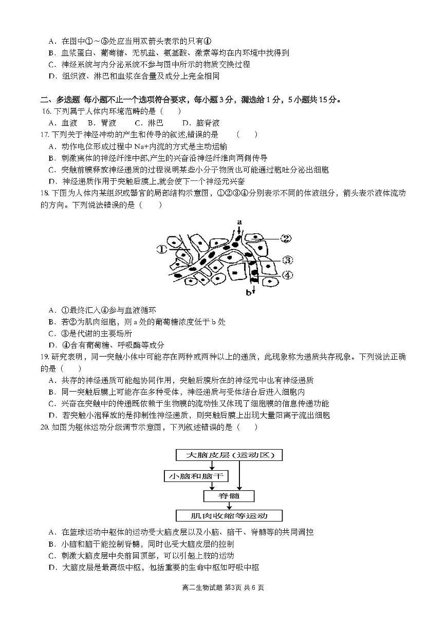 江苏省盐城市四校联考2025-2026学年高二上学期10月月考生物试题第3页