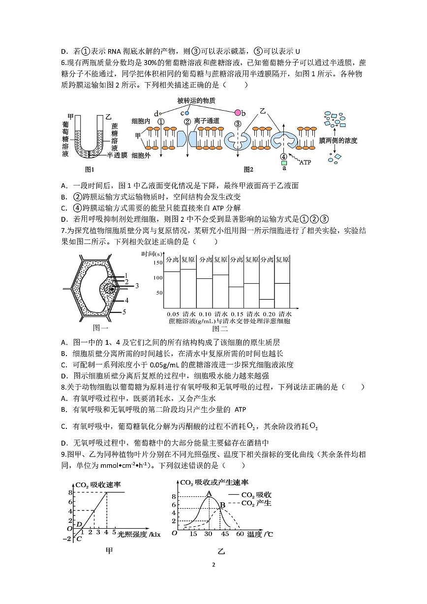 江苏省扬州市高三七校联考2025-2026学年高三上学期10月月考生物试题第2页