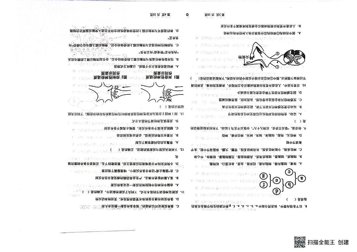 辽宁省朝阳市建平县实验中学2025-2026学年高二上学期10月月考生物试题第2页