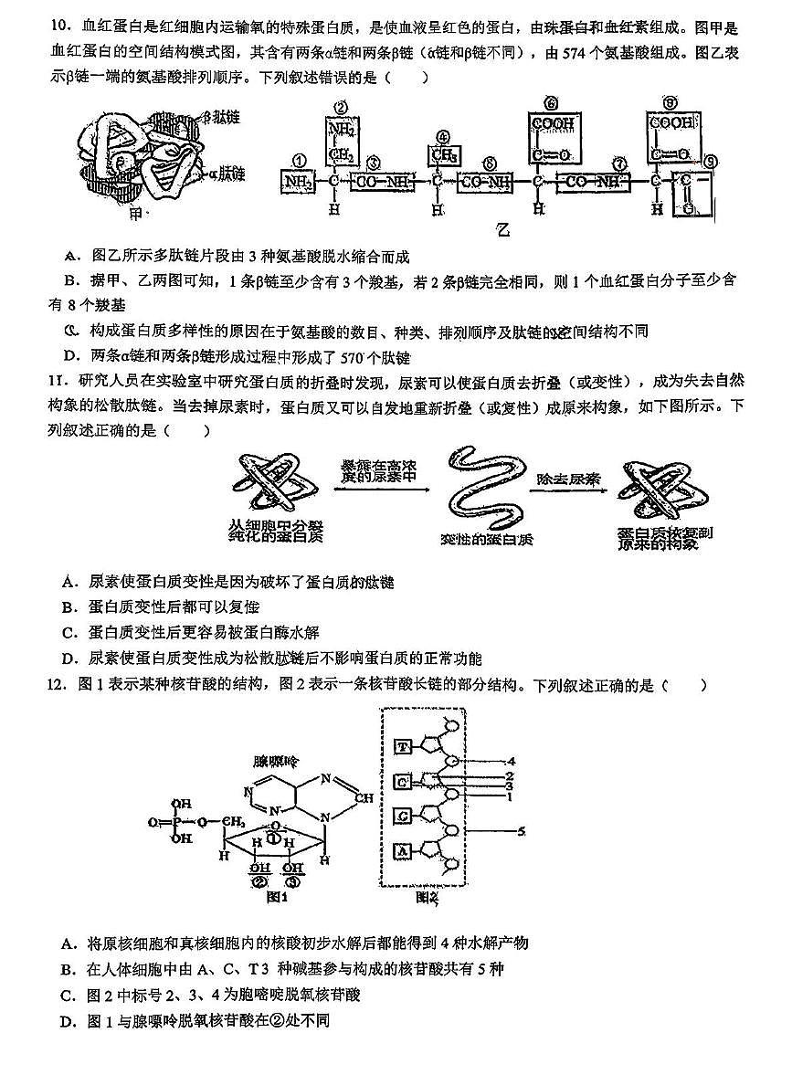 山东省日照市实验高中2025-2026学年高一上学期10月月考生物试题第3页