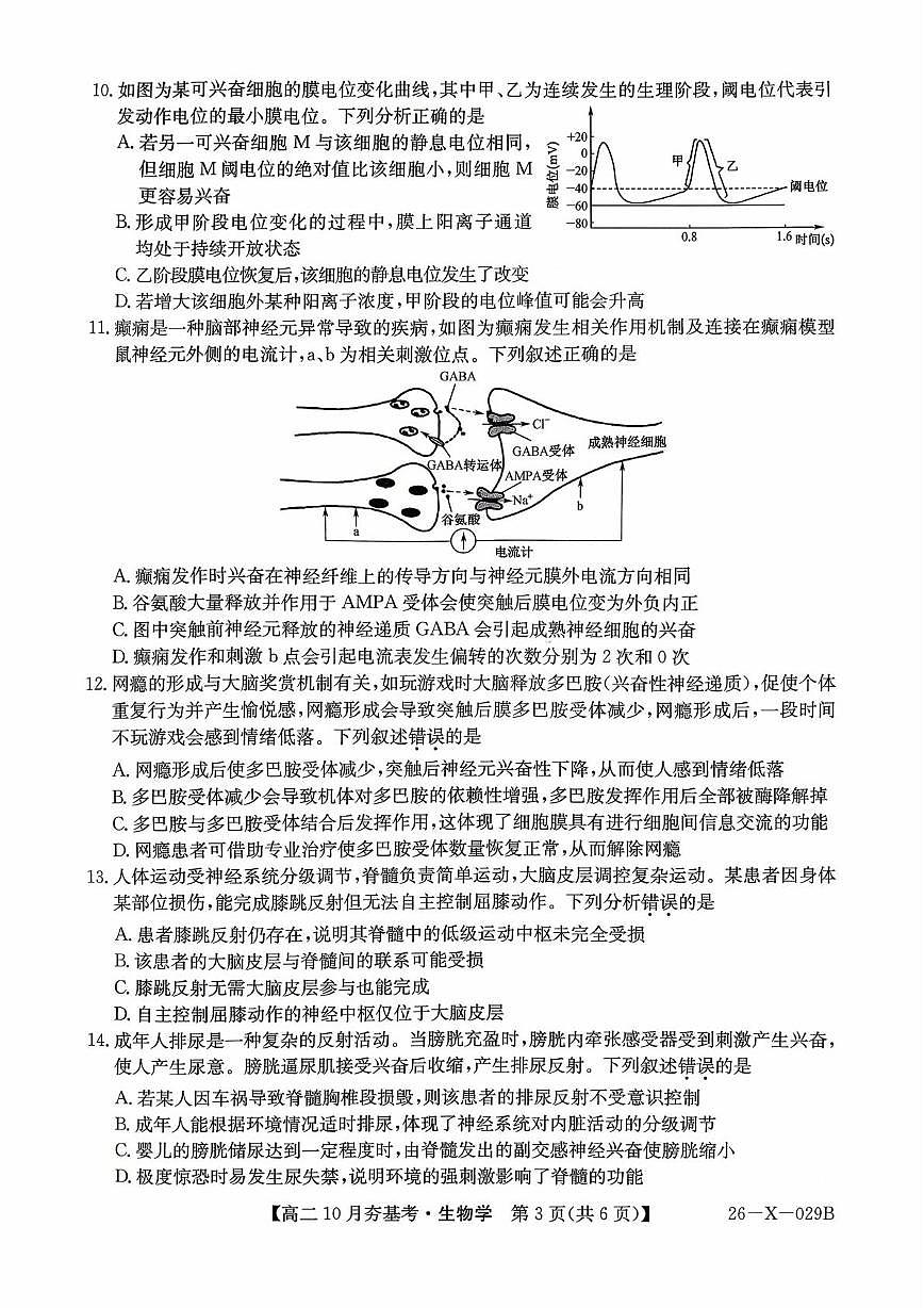 山西省高文品T8联盟联考2025-2026学年高二上学期10月月考生物试题第3页