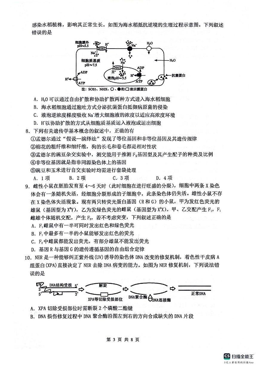 四川省绵阳南山中学2025-2026学年高三上学期9月月考生物试卷（PDF版附解析）第3页