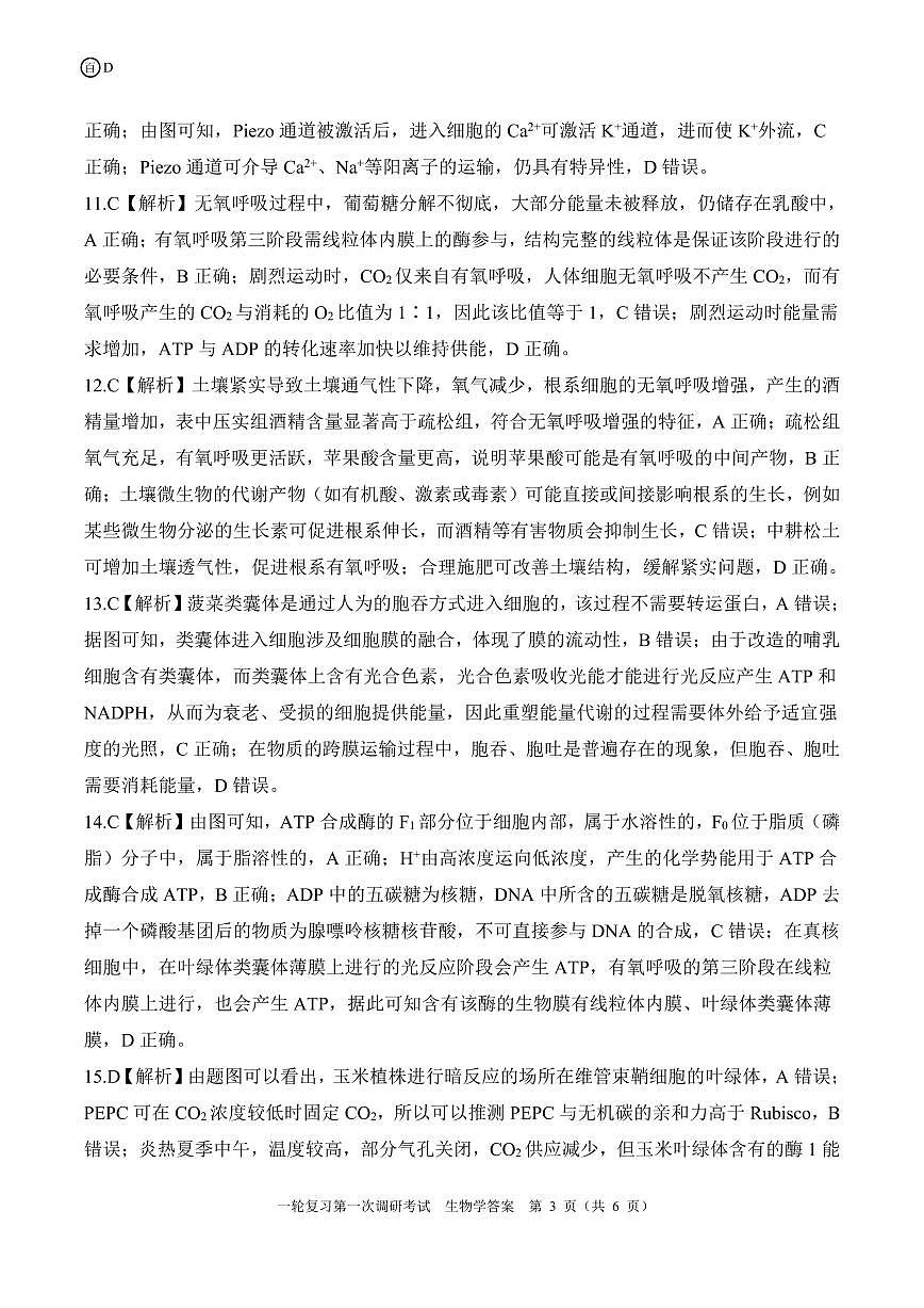 四川省百师联盟2026届高三上学期一轮复习第一次调研考试生物试题答案第3页