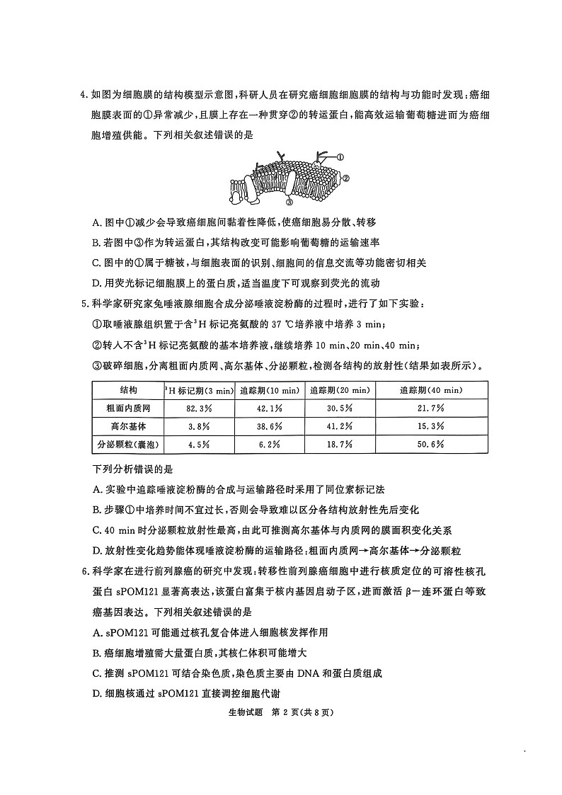 河南省青桐鸣大联考2025-2026学年高三上学期10月考试生物试卷第2页