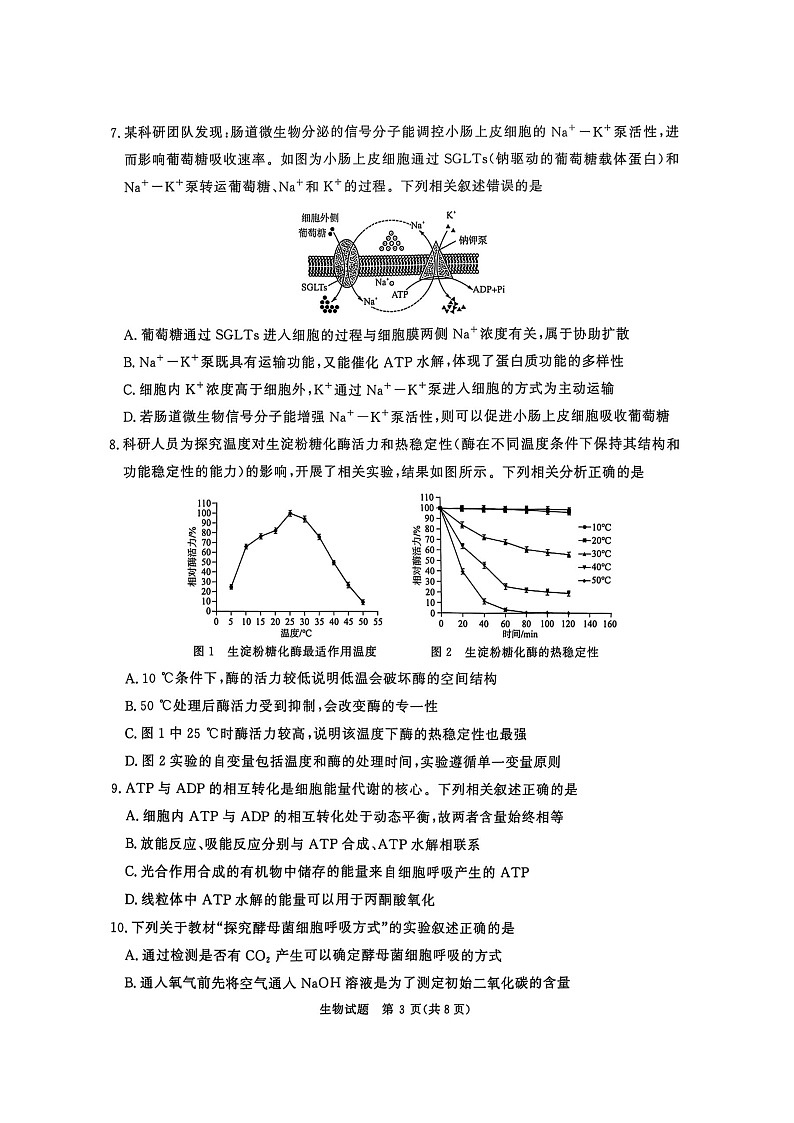 河南省青桐鸣大联考2025-2026学年高三上学期10月考试生物试卷第3页