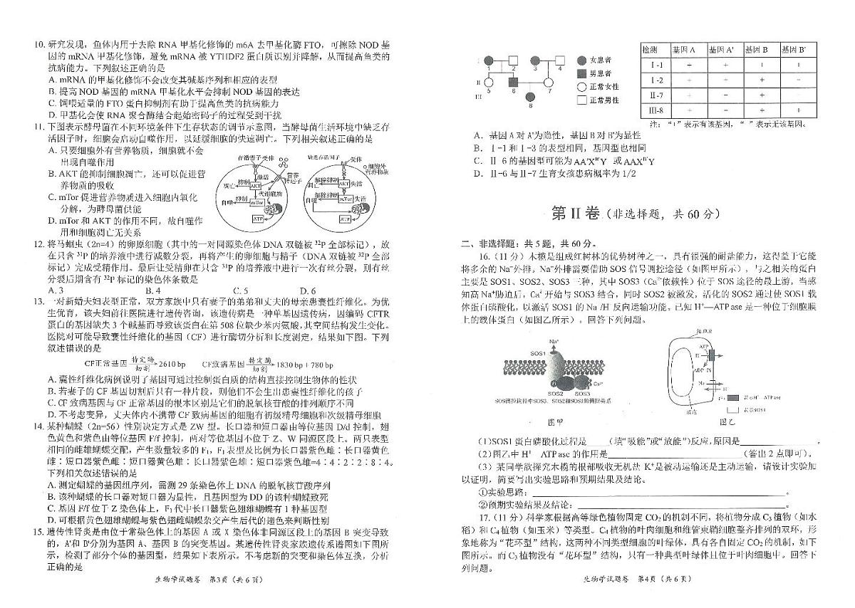 生物试卷第2页