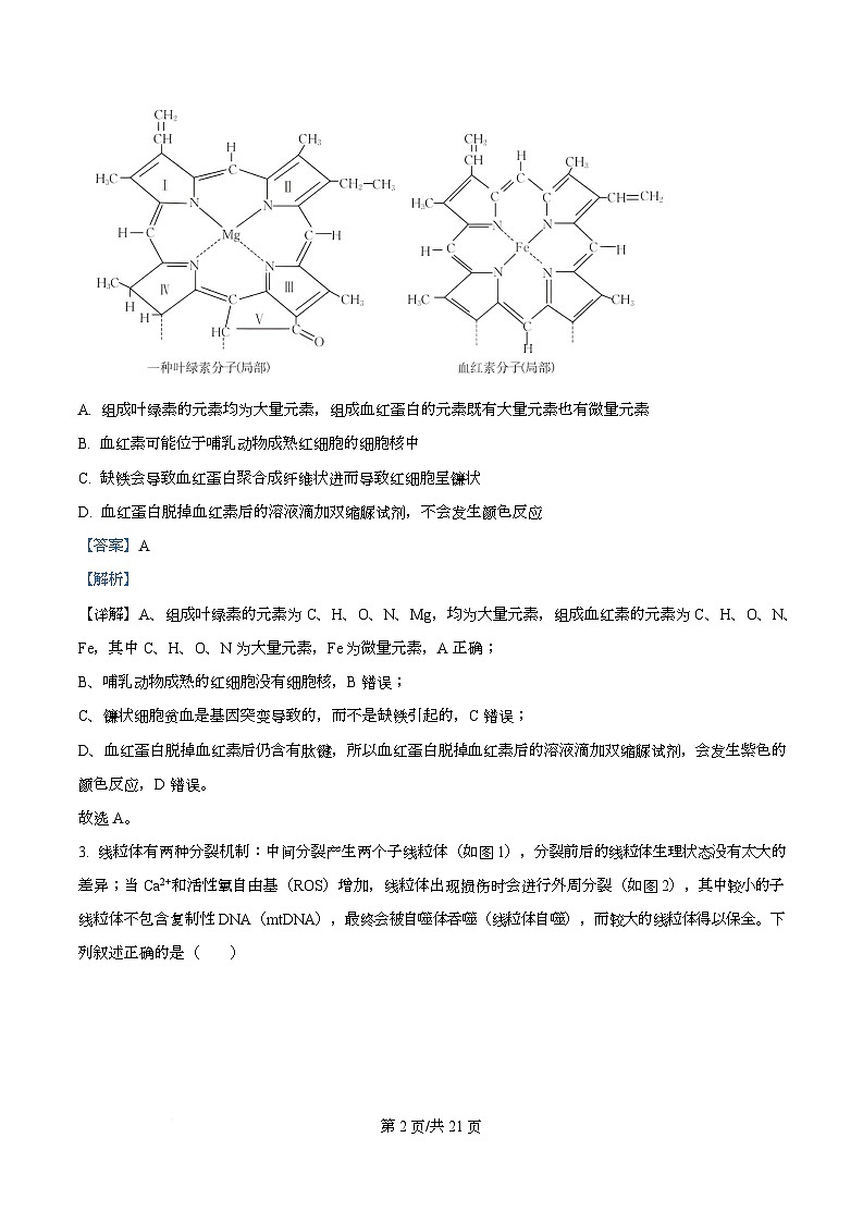 重庆市育才中学等三校2025-2026学年高三上学期10月诊断性考试生物试题  Word版含解析第2页