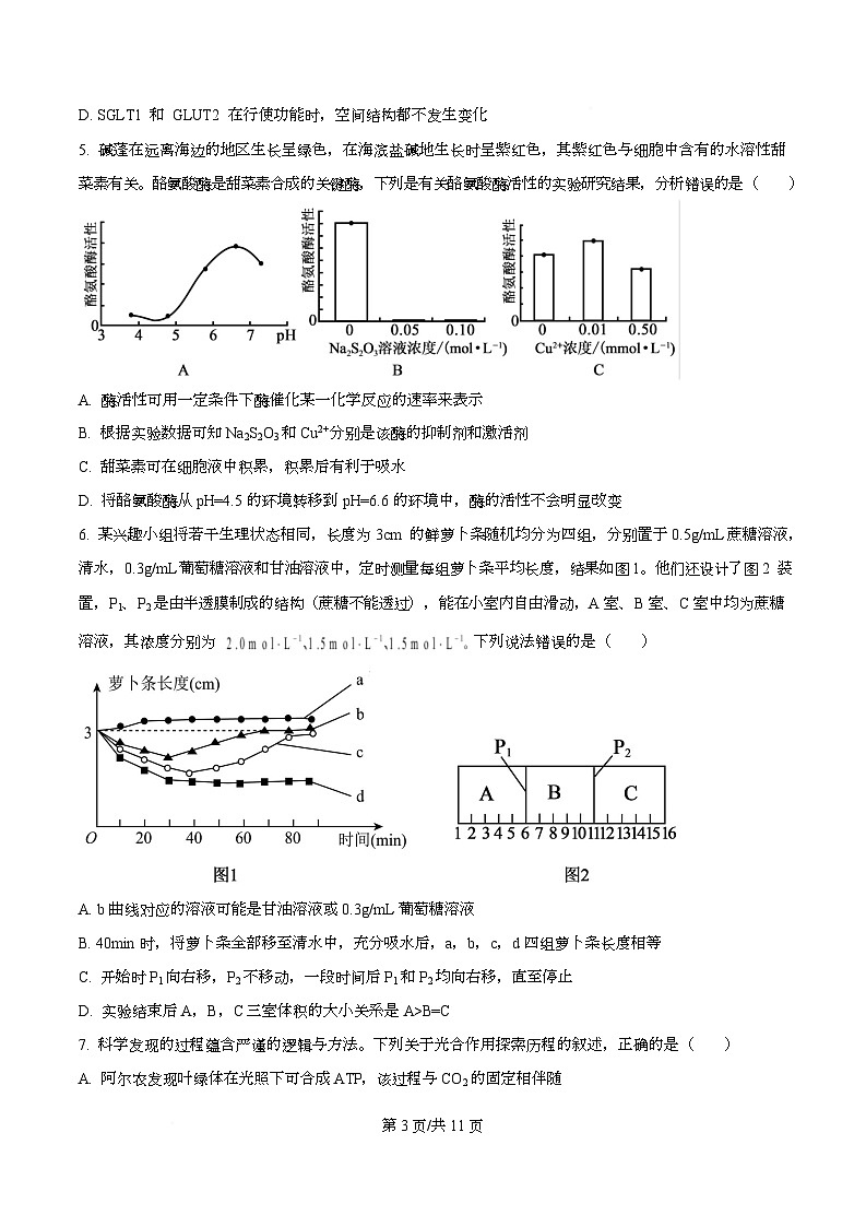 重庆市育才中学等三校2025-2026学年高三上学期10月诊断性考试生物试题  Word版无答案第3页
