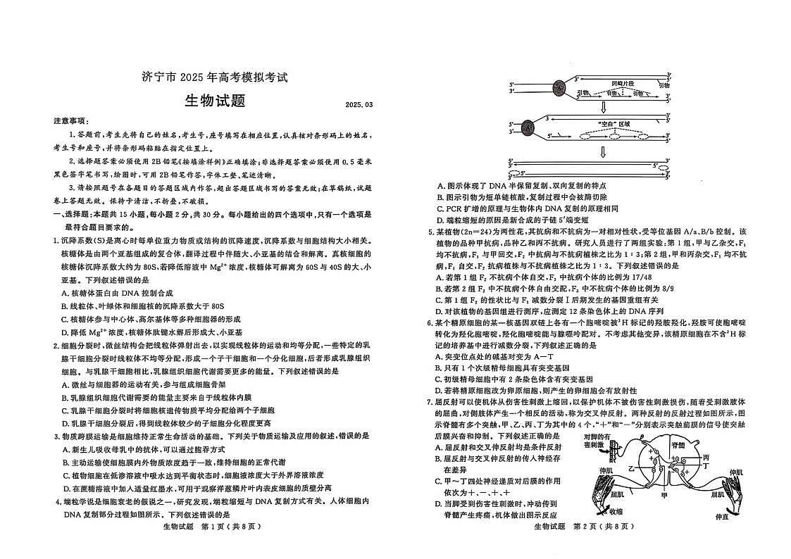 山东省济宁市2025届高三下学期第一次模拟-生物试题（学生版）第1页
