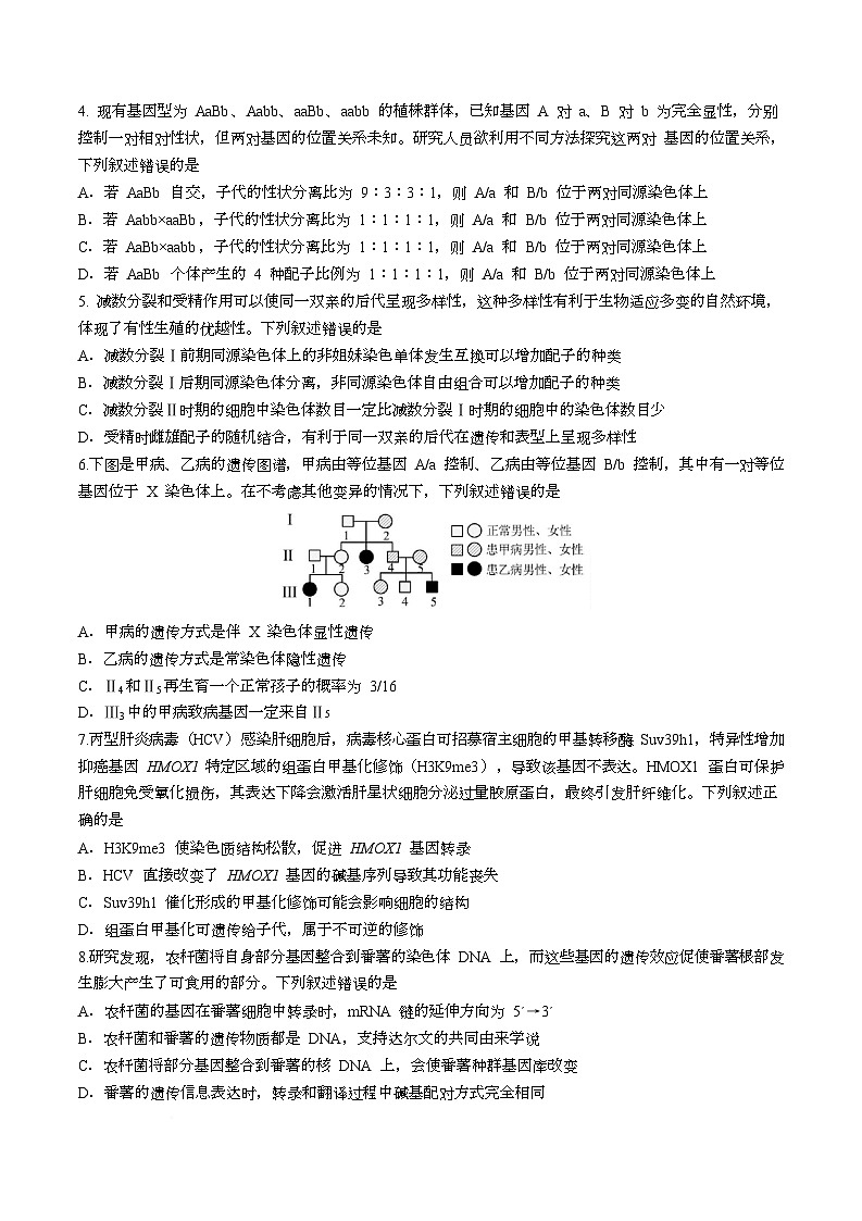 湖北省名校协作体2025-2026学年高二上学期10月联考生物试卷（Word版附答案）第2页