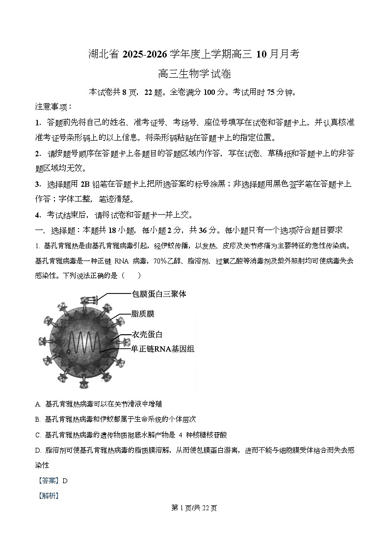 湖北省新八校协作体2026届高三上学期10月月考生物试题 Word版含解析第1页