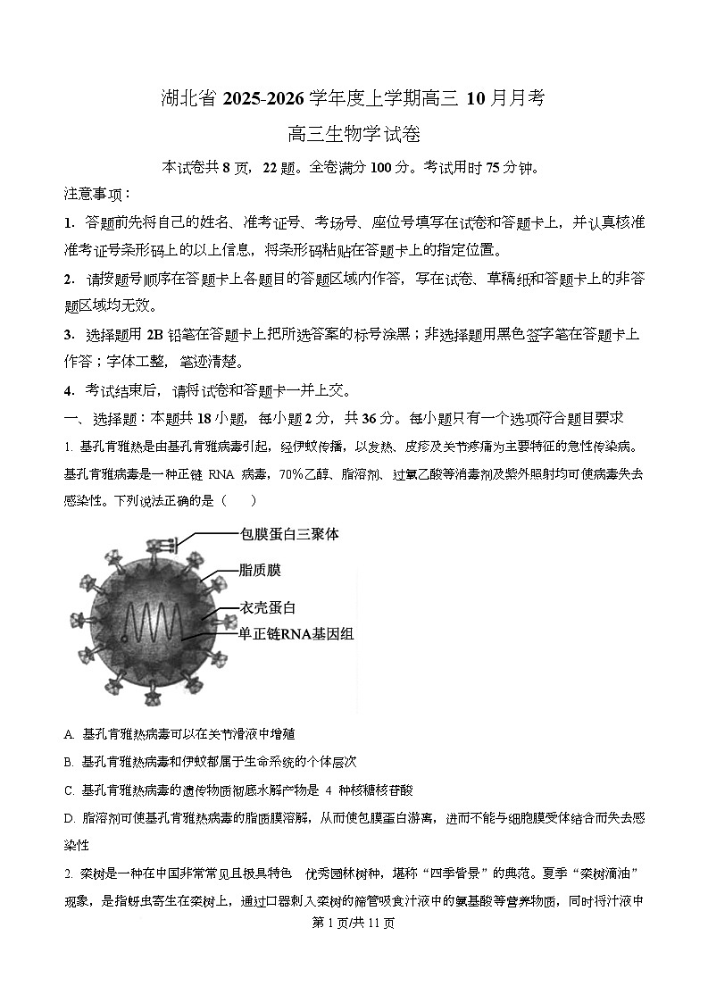 湖北省新八校协作体2026届高三上学期10月月考生物试题（原卷版）第1页