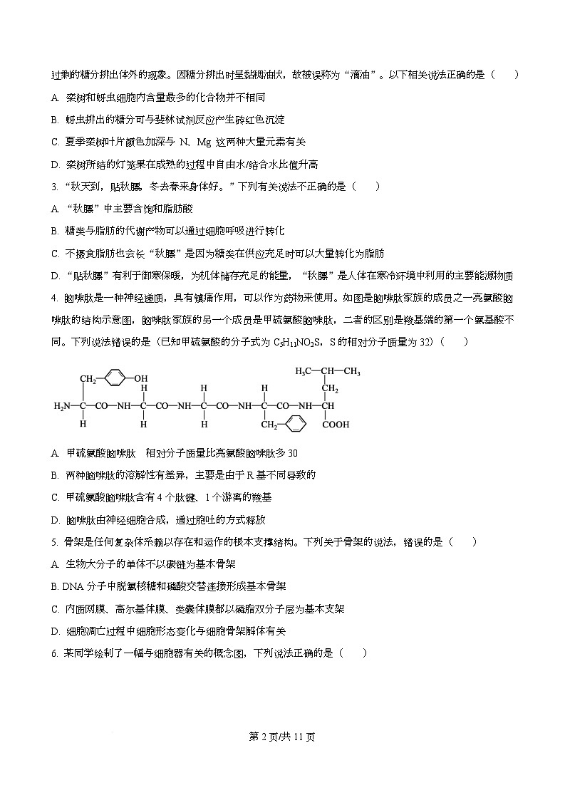 湖北省新八校协作体2026届高三上学期10月月考生物试题（原卷版）第2页