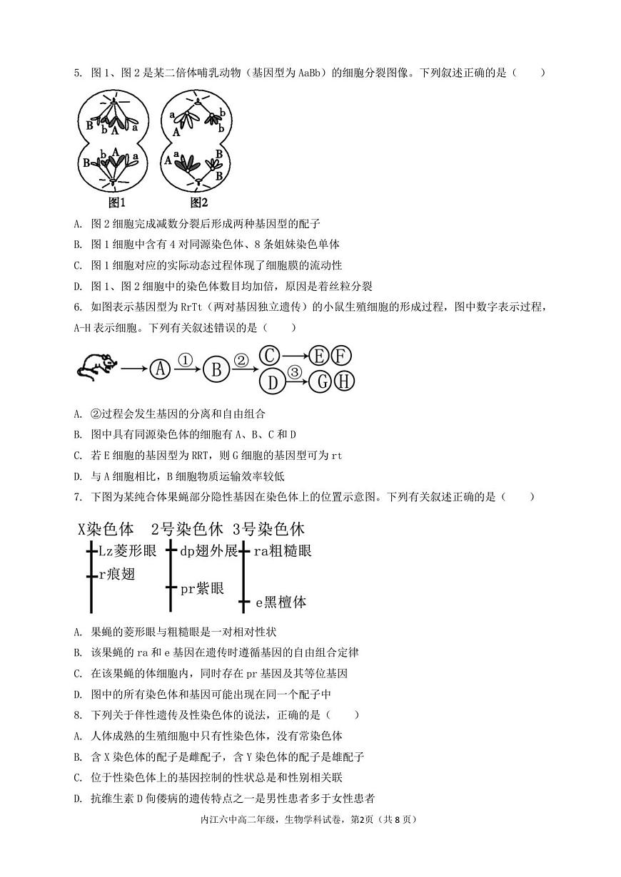 四川省内江市第六中学2025-2026学年高二上学期入学考试生物试卷+答案第2页