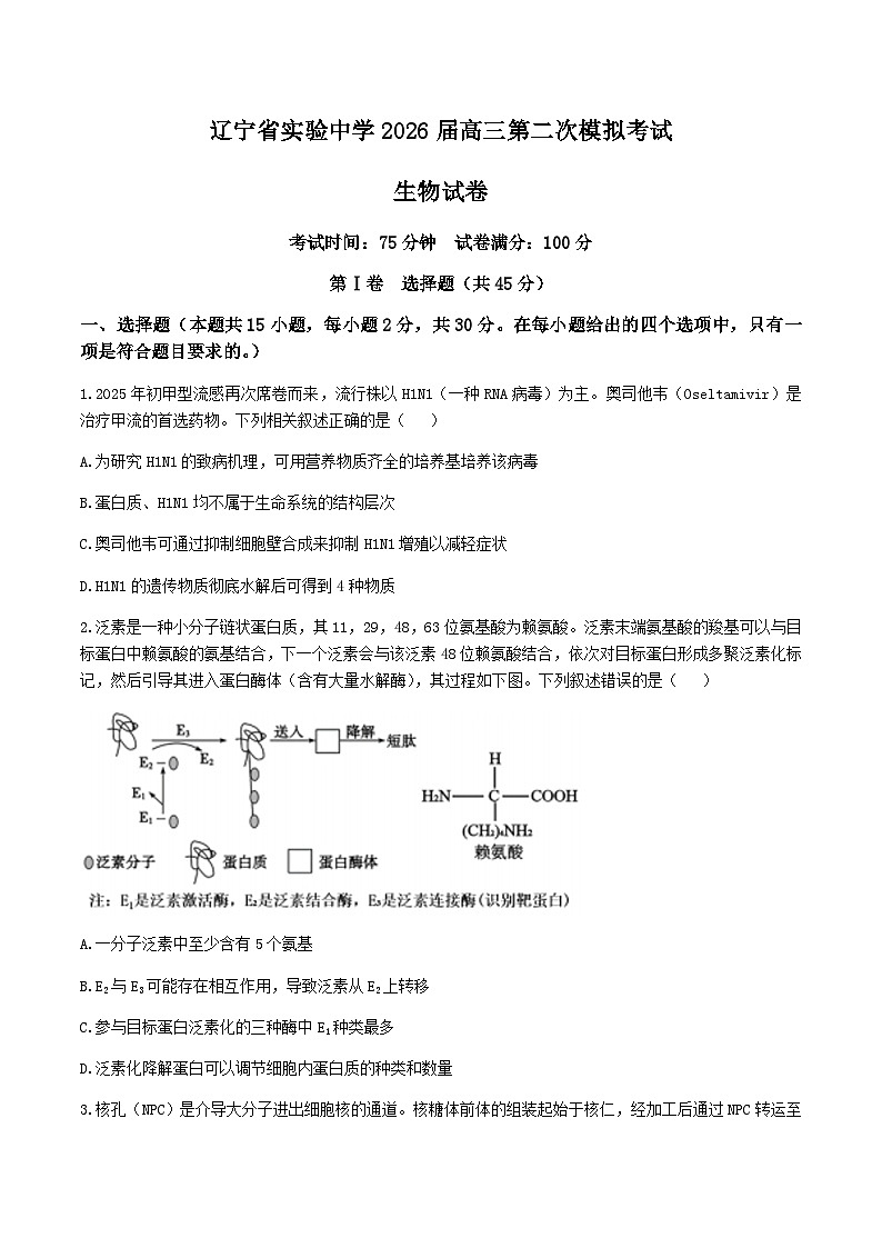 辽宁省实验中学2026届高三上学期10月第二次模拟生物试卷（含答案）第1页