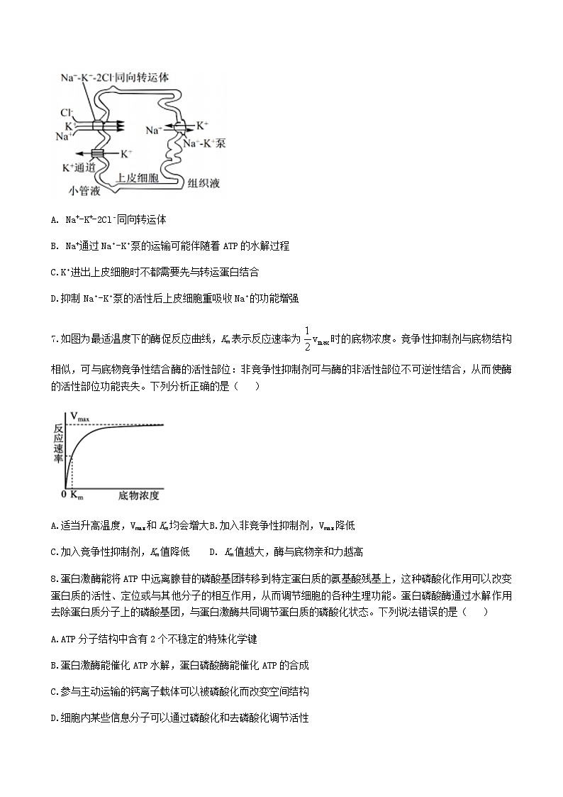 辽宁省实验中学2026届高三上学期10月第二次模拟生物试卷（含答案）第3页